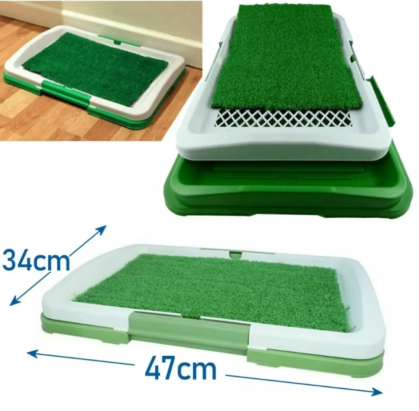 Pee Pad: Tapete sanitario para perros