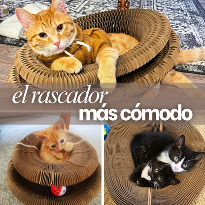 KittyFlow: El Rascador Interactivo para Gatos