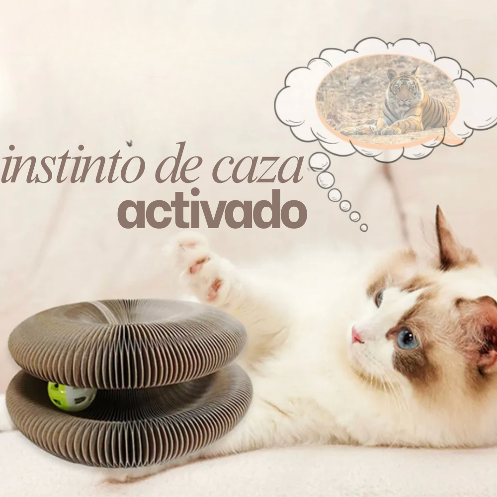 KittyFlow: El Rascador Interactivo para Gatos